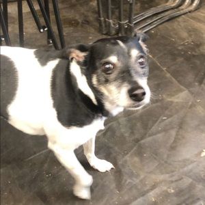 Meet your Posher, Sandy